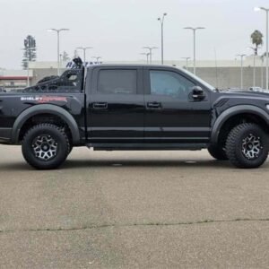 2018 Ford F-150 Raptor (image 12) pickinzusedcars.com
