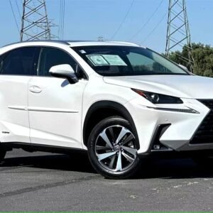 2019 LEXUS NX300 Technology